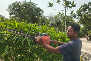 Gardening